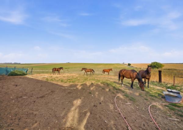 Na predaj gazdovský dom a biofarma na samote v obci Pastuchov