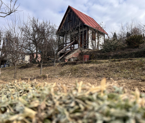 Na predaj rekreačná chatka so súkromným pozemkom v Beckove.