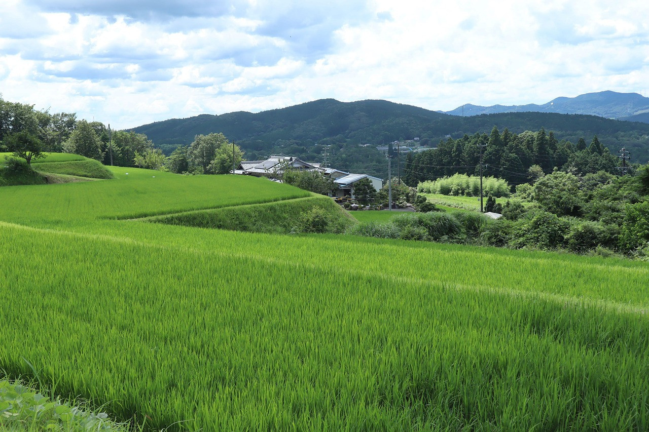 Na predaj pozemok v lokalite Plevník-Drienové