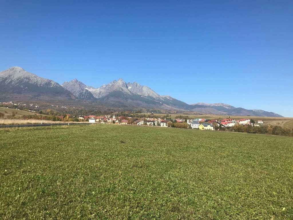 Nová Lesná / Vysoké Tatry -stavebné pozemky na predaj - 39 parciel , výmera 32 300m2