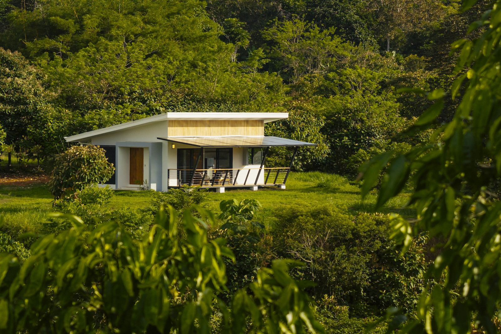 Na predaj pozemok v Kostarike na polostrove Osa