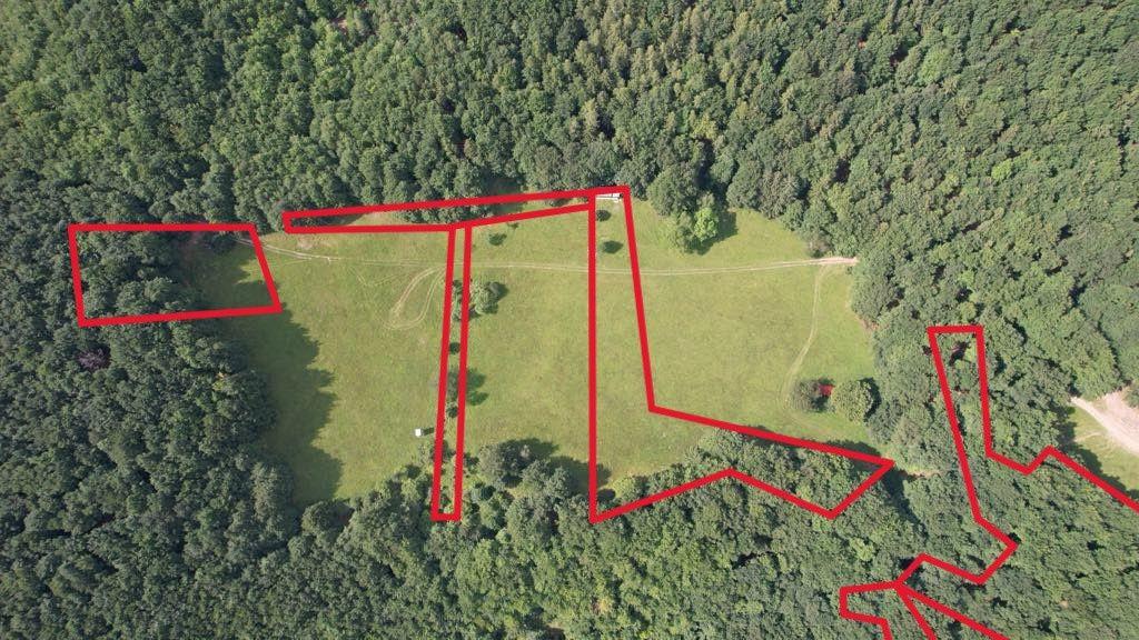 Exkluzívna ponuka Pozemkov (lesy, pasienky, lúky) v k.ú. Šípkov, okr. Bánovce n/B